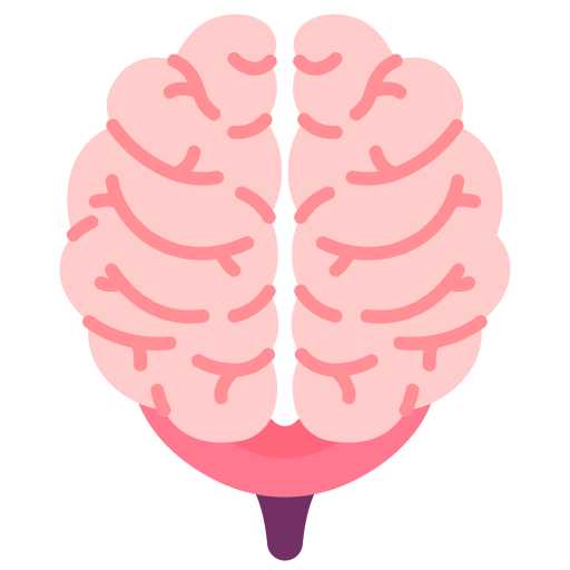 Brain