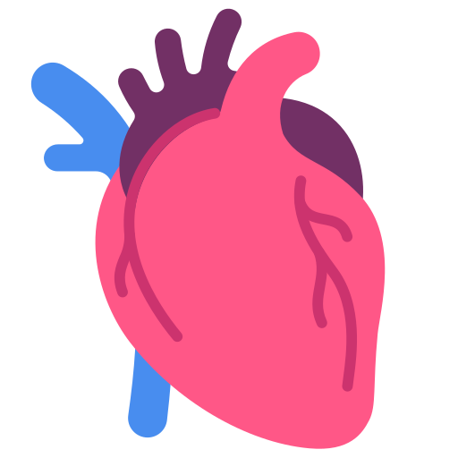 Heart