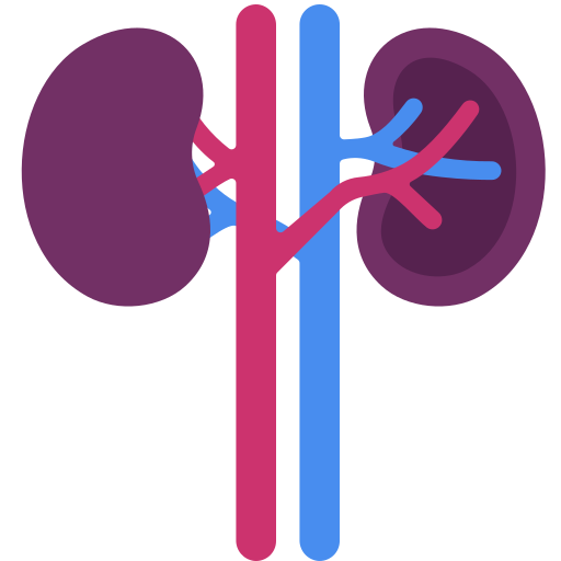 Kidneys