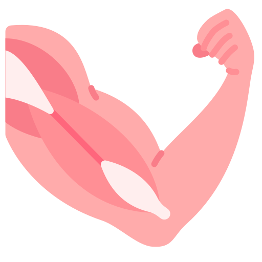 Muscle