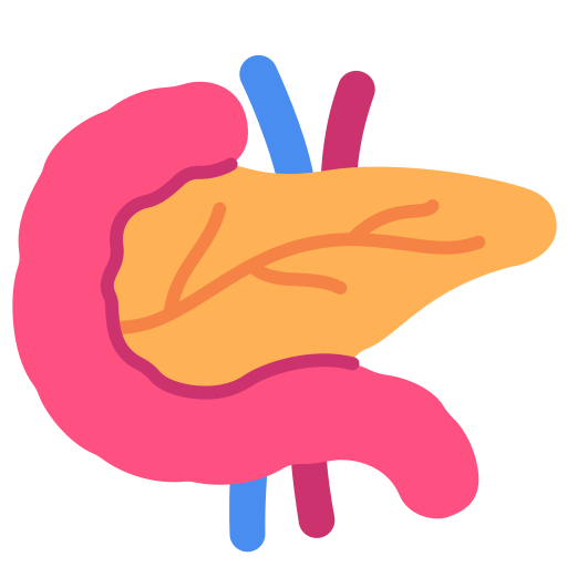 Pancreas