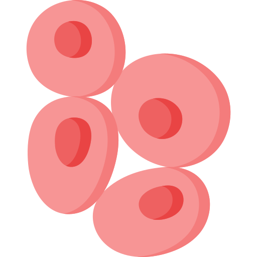 Fat Tissue
