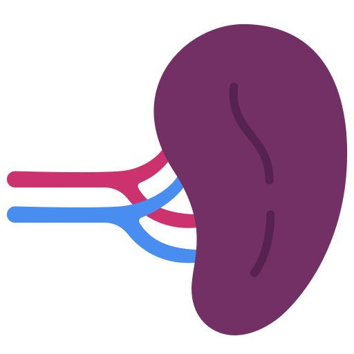 Lymph